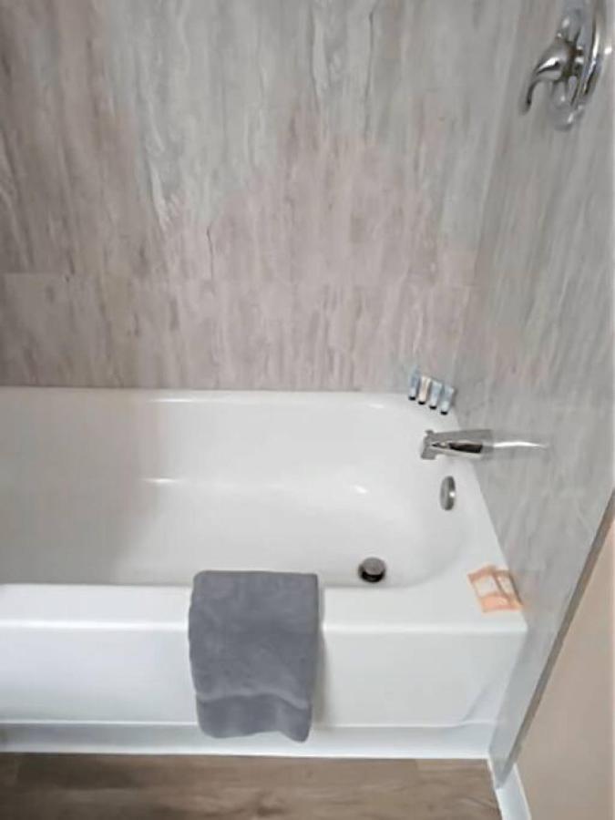 Charming And Lovely Found In Apartment